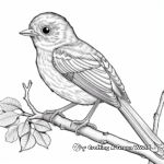 Detailed Robin Coloring Sheets for Adults 2