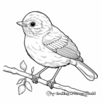 Detailed Robin Coloring Sheets for Adults 3
