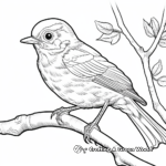 Detailed Robin Coloring Sheets for Adults 4