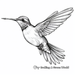 Detailed Ruby-Throated Hummingbird Coloring Pages 3