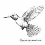 Detailed Ruby-Throated Hummingbird Coloring Pages 4