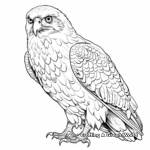 Detailed Saker Falcon Coloring Pages 2