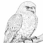 Detailed Saker Falcon Coloring Pages 3