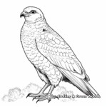 Detailed Saker Falcon Coloring Pages 4