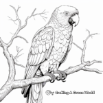 Detailed Scarlet Macaw Coloring Pages for Adults 4