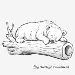 Detailed Sleeping Black Bear Coloring Pages 2