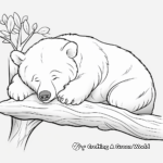 Detailed Sleeping Black Bear Coloring Pages 4
