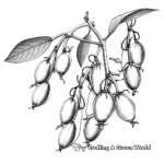 Detailed Snow Peas Coloring Pages for Adults 3