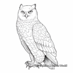 Detailed Snowy Owl Coloring Sheets for Adults 4