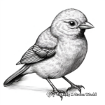 Detailed Sparrow Coloring Pages for Adults 2