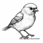 Detailed Sparrow Coloring Pages for Adults 3