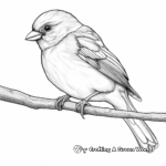 Detailed Sparrow Coloring Pages for Adults 4