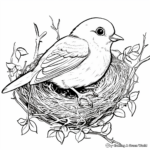Detailed Sparrow Nest Coloring Pages 3