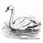 Detailed Swan Coloring Pages for Adults 1