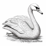 Detailed Swan Coloring Pages for Adults 2