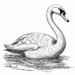 Detailed Swan Coloring Pages for Adults 3