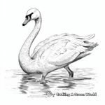 Detailed Swan Coloring Pages for Adults 4