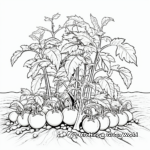 Detailed Tomato Plant Coloring Pages 4