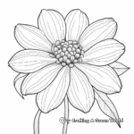 Detailed Zinnia Petals Coloring Pages for Adults 1