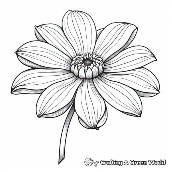 Zinnia Coloring Pages - Free & Printable!