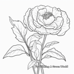 Digital Art Peony Coloring Pages for Adults 2
