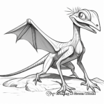 Dimorphodon Fossil Coloring Pages 1