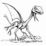 Dimorphodon Fossil Coloring Pages 4