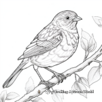 Distinguished Song Sparrow Coloring Pages 4