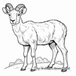 Diverse Bighorn Sheep Species Coloring Pages 1