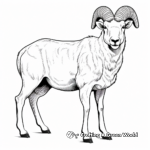 Diverse Bighorn Sheep Species Coloring Pages 2