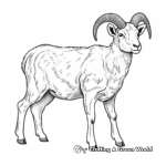 Diverse Bighorn Sheep Species Coloring Pages 4