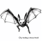 Dramatic Bat in Flight Coloring Sheets 4