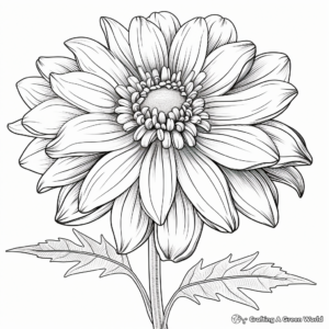 Dramatic Dahlia Fall Flower Coloring Pages 3