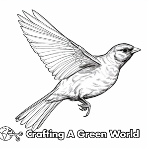 Red Winged Blackbird Coloring Pages - Free &amp; Printable!