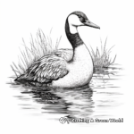 Dramatic Great Northern Loon Coloring Images 1