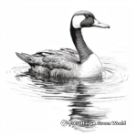 Dramatic Great Northern Loon Coloring Images 2