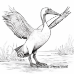 Dramatic Spot-billed Pelican Coloring Pages 1