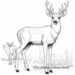 Dynamic Blacktail Deer Coloring Pages 2