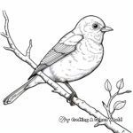 Eastern Bluebird Coloring Pages for Birdwatchers 4