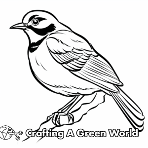 Mockingbird Coloring Pages - Free &amp; Printable!