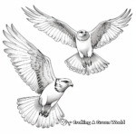 Easy-to-Color Sparrowhawk Coloring Pages 2