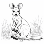 Páginas para colorear de Wallaby ecológico y medio ambiente 1