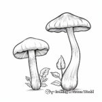 Edible and Poisonous Mushroom Comparison Pages 2