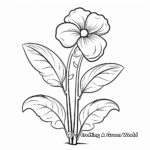 Edible Flowers: Viola Flower Coloring Pages 3