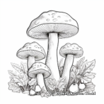 Edible Porcini Mushroom Coloring Pages 4