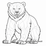 Educational Black Bear Anatomy Coloring Pages 2