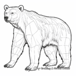 Educational Black Bear Anatomy Coloring Pages 4