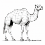 Educational Camel Anatomy Coloring Pages 1