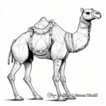 Educational Camel Anatomy Coloring Pages 3
