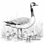 Educational Canada Geese Migration Pattern Coloring Pages 1